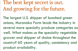 The best kept secret is out. And growing for the future. The largest U.S. shipper of bunched green onions, Muranaka Farm leads the industry in several more specialty produce categories as well. What makes us the specialty vegetable grower and shipper of choice throughout the country? 50 years of quality, consistency and product availability.